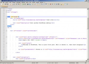 view on notepad++